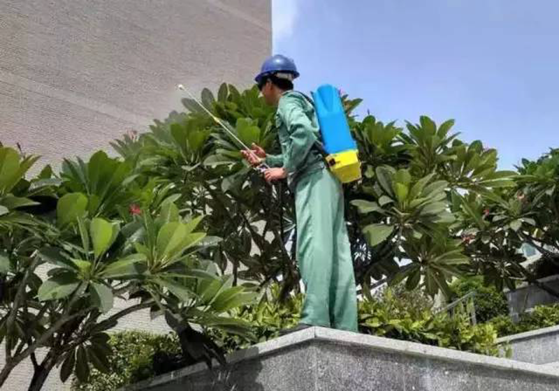 园林绿化工程:美丽城市的绿肺与心脉