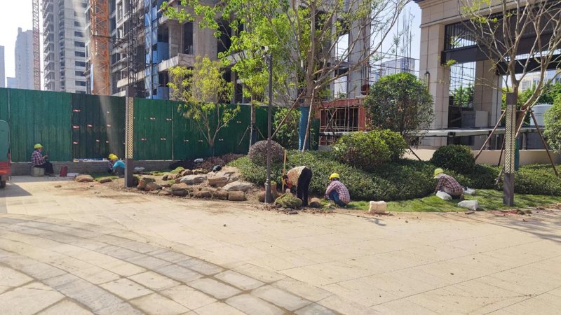 园林绿化工程：城市绿肺的新篇章